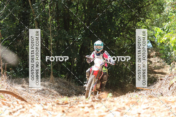 Buy your photos of the eventCopa EFX Brasil  on Fotop