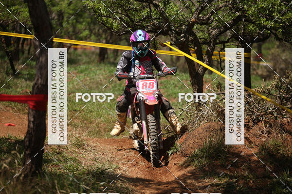 Buy your photos of the eventCopa EFX Brasil  on Fotop