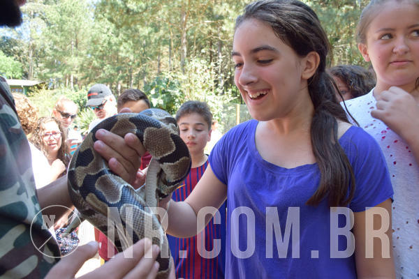 Buy your photos of the eventNR1 - English & Action 21 a 23/09/18 on Fotop