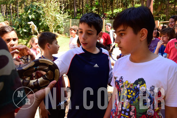 Buy your photos of the eventNR1 - English & Action 21 a 23/09/18 on Fotop