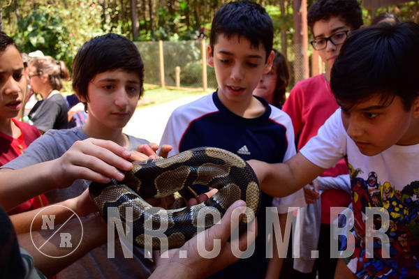 Buy your photos of the eventNR1 - English & Action 21 a 23/09/18 on Fotop