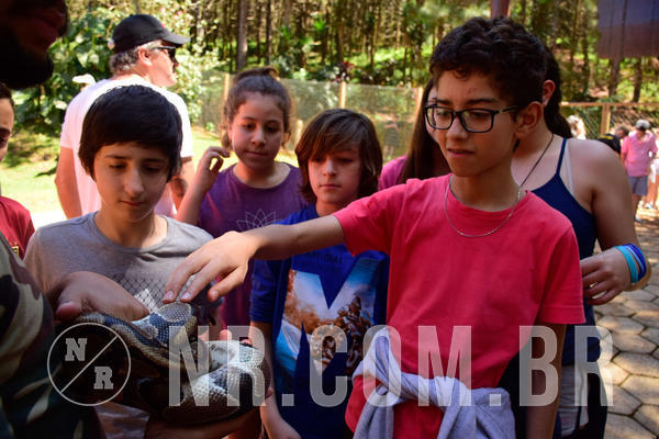 Buy your photos of the eventNR1 - English & Action 21 a 23/09/18 on Fotop