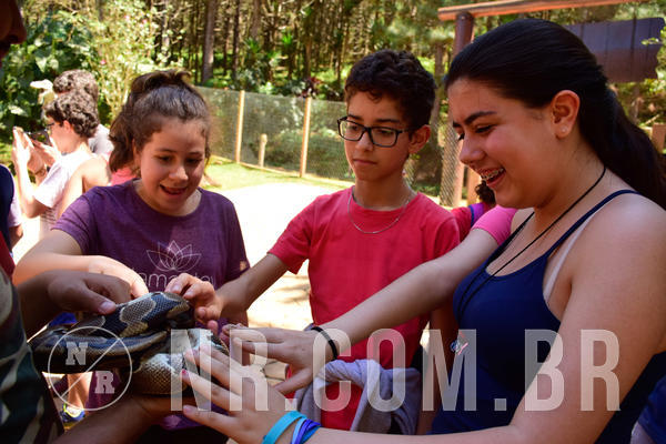 Buy your photos of the eventNR1 - English & Action 21 a 23/09/18 on Fotop