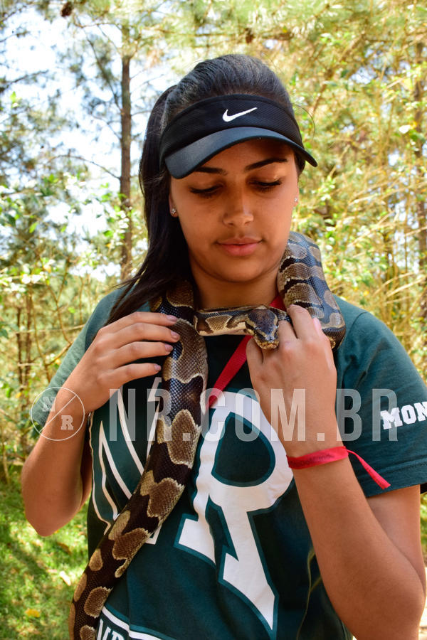 Buy your photos of the eventNR1 - CL�SSICO DE 24  A  26/09/18 on Fotop