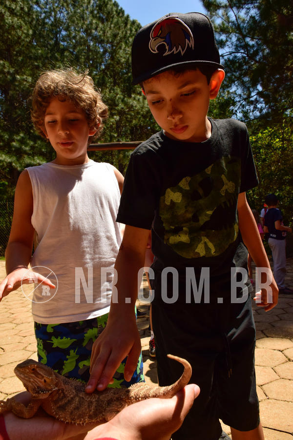 Buy your photos of the eventNR1 - CL�SSICO DE 24  A  26/09/18 on Fotop