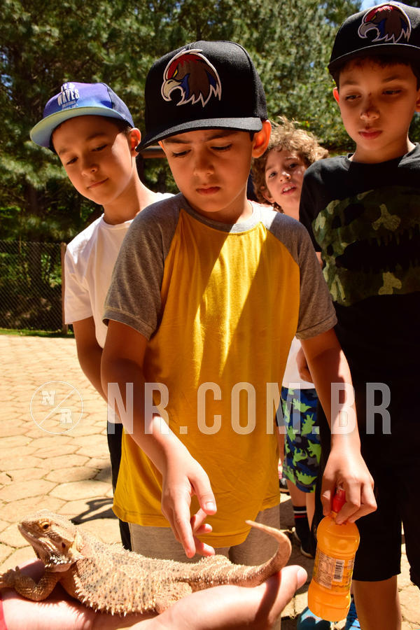 Buy your photos of the eventNR1 - CL�SSICO DE 24  A  26/09/18 on Fotop