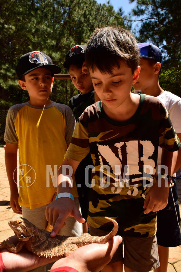 Buy your photos of the eventNR1 - CL�SSICO DE 24  A  26/09/18 on Fotop