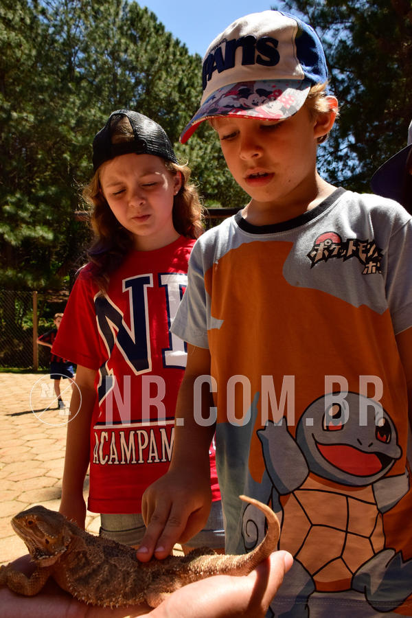 Buy your photos of the eventNR1 - CL�SSICO DE 24  A  26/09/18 on Fotop