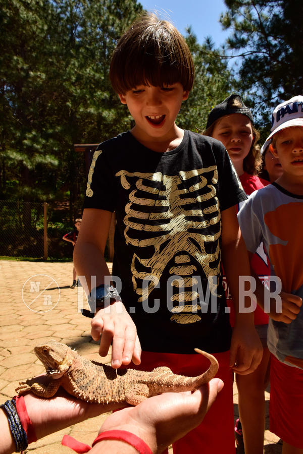 Buy your photos of the eventNR1 - CL�SSICO DE 24  A  26/09/18 on Fotop