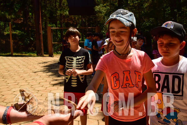 Buy your photos of the eventNR1 - CL�SSICO DE 24  A  26/09/18 on Fotop