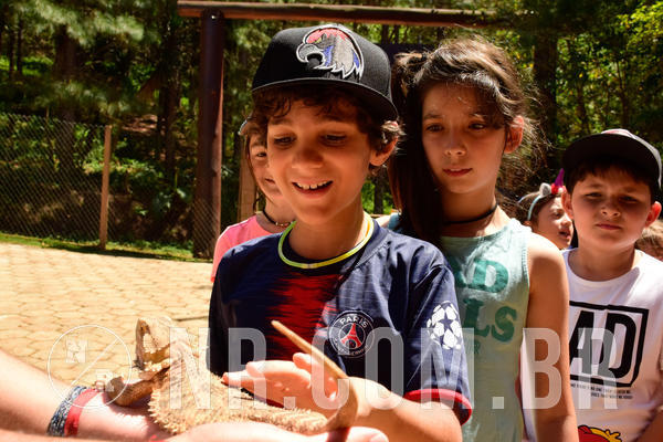 Buy your photos of the eventNR1 - CL�SSICO DE 24  A  26/09/18 on Fotop