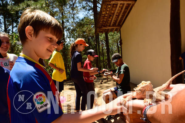 Buy your photos of the eventNR1 - CL�SSICO DE 24  A  26/09/18 on Fotop