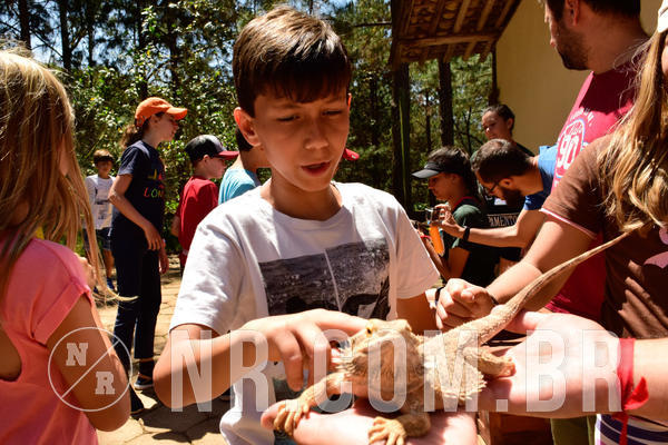 Buy your photos of the eventNR1 - CL�SSICO DE 24  A  26/09/18 on Fotop