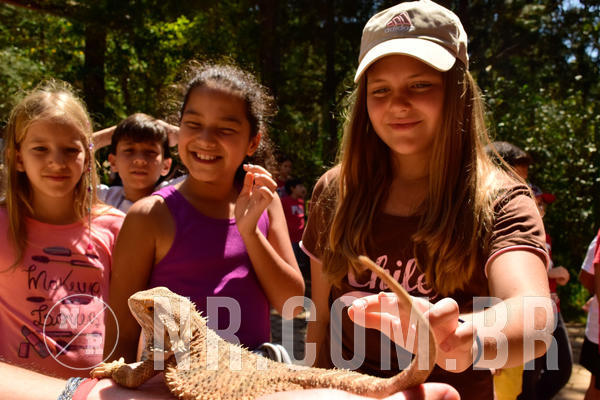 Buy your photos of the eventNR1 - CL�SSICO DE 24  A  26/09/18 on Fotop