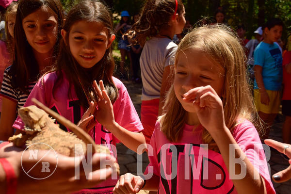 Buy your photos of the eventNR1 - CL�SSICO DE 24  A  26/09/18 on Fotop