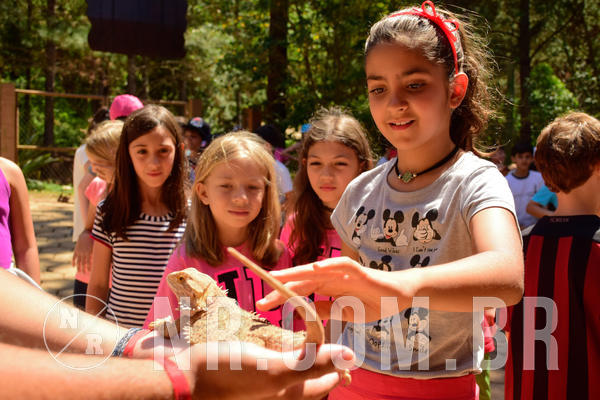 Buy your photos of the eventNR1 - CL�SSICO DE 24  A  26/09/18 on Fotop