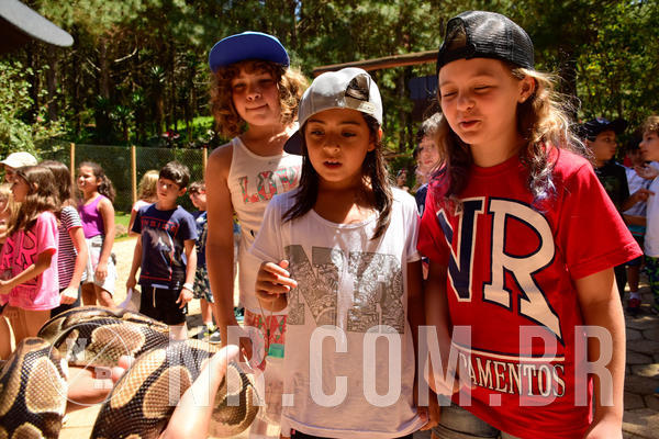 Buy your photos of the eventNR1 - CL�SSICO DE 24  A  26/09/18 on Fotop