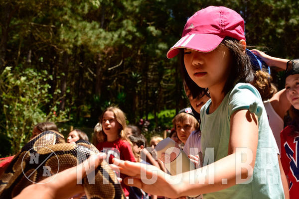 Buy your photos of the eventNR1 - CL�SSICO DE 24  A  26/09/18 on Fotop