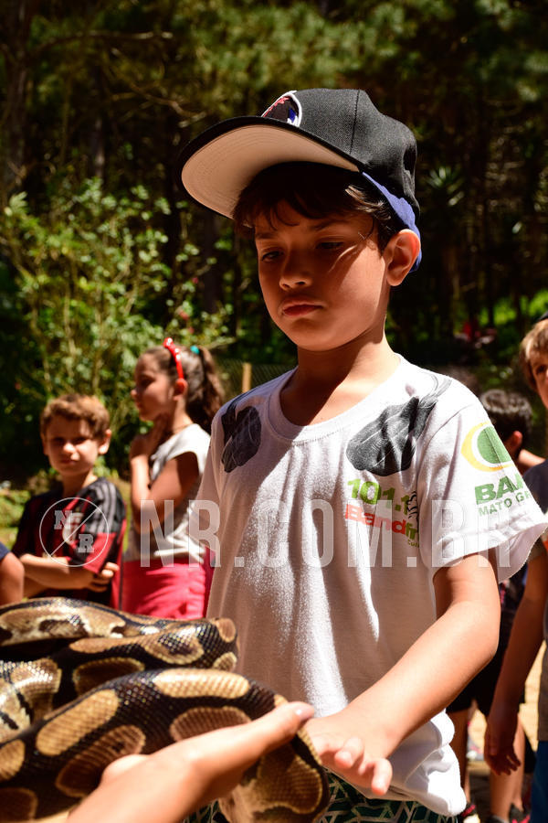 Buy your photos of the eventNR1 - CL�SSICO DE 24  A  26/09/18 on Fotop