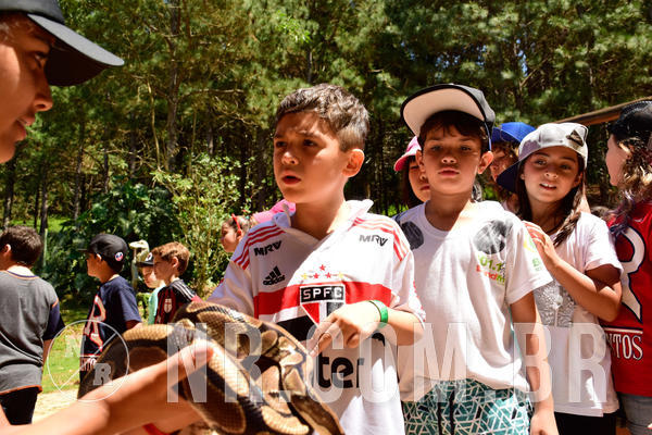 Buy your photos of the eventNR1 - CL�SSICO DE 24  A  26/09/18 on Fotop