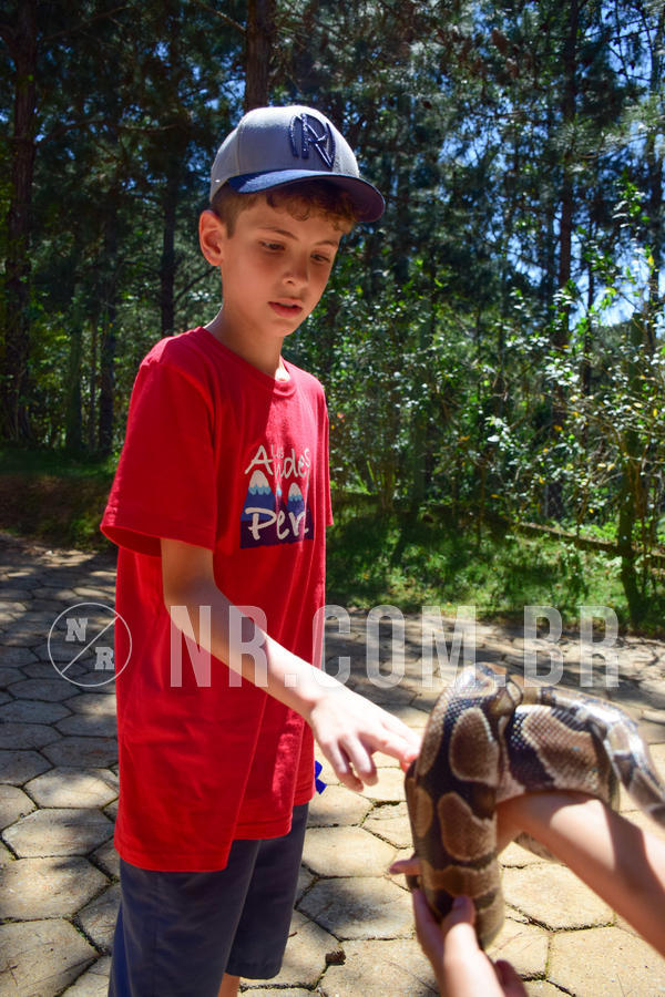 Buy your photos of the eventNR1 - CL�SSICO DE 24  A  26/09/18 on Fotop