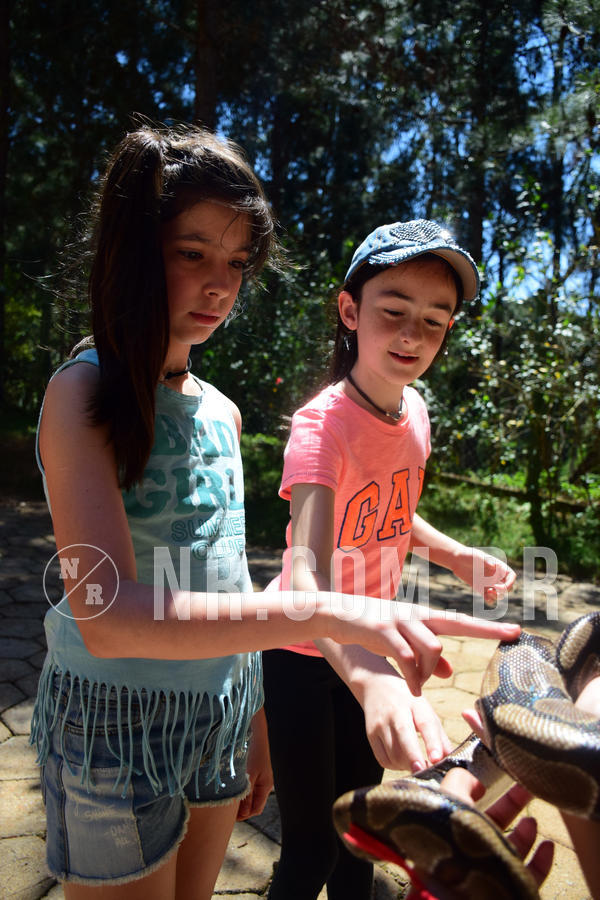 Buy your photos of the eventNR1 - CL�SSICO DE 24  A  26/09/18 on Fotop