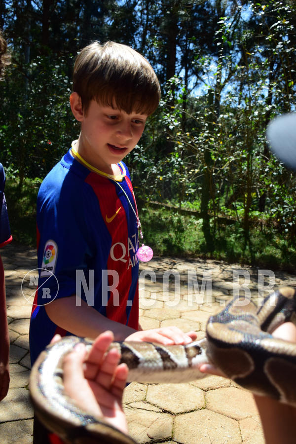 Buy your photos of the eventNR1 - CL�SSICO DE 24  A  26/09/18 on Fotop