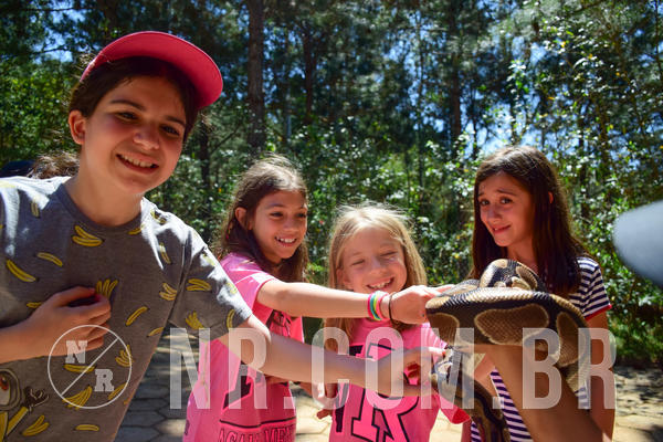 Buy your photos of the eventNR1 - CL�SSICO DE 24  A  26/09/18 on Fotop