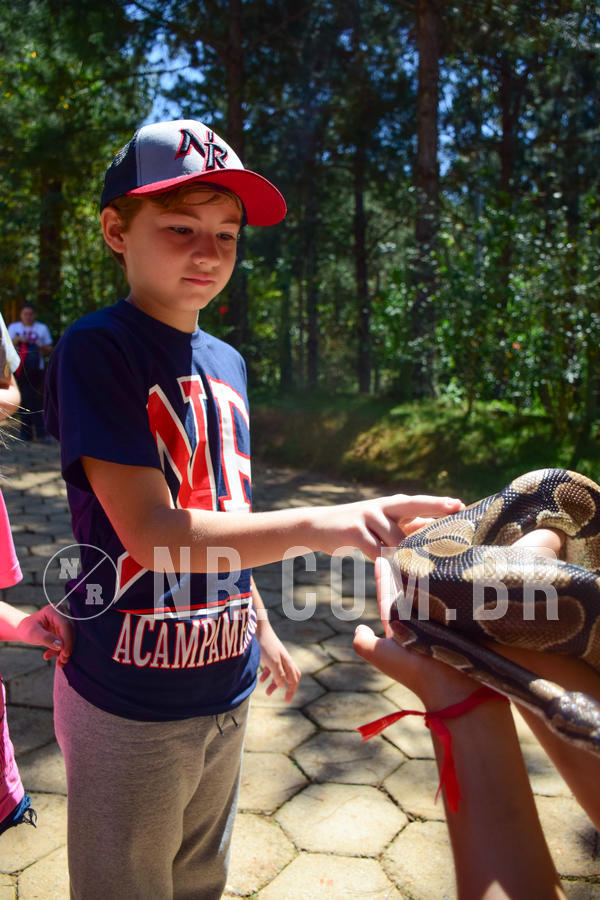 Buy your photos of the eventNR1 - CL�SSICO DE 24  A  26/09/18 on Fotop