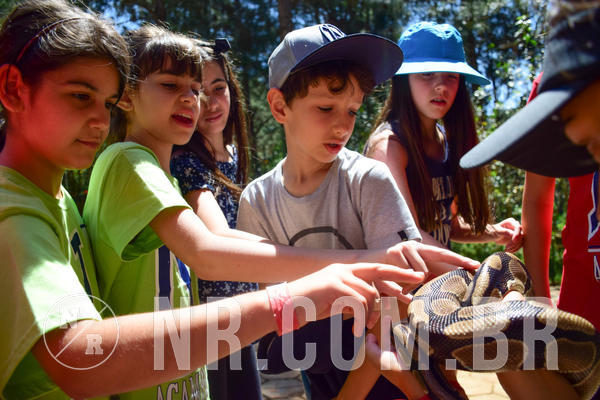 Buy your photos of the eventNR1 - CL�SSICO DE 24  A  26/09/18 on Fotop