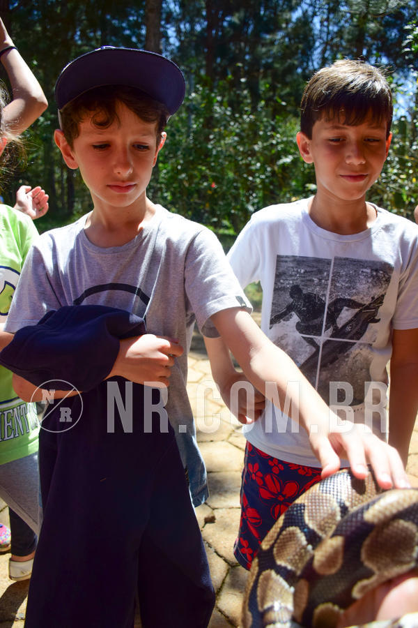 Buy your photos of the eventNR1 - CL�SSICO DE 24  A  26/09/18 on Fotop