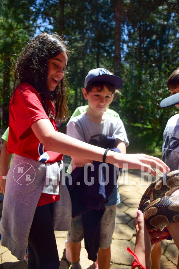 Buy your photos of the eventNR1 - CL�SSICO DE 24  A  26/09/18 on Fotop