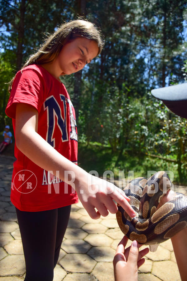 Buy your photos of the eventNR1 - CL�SSICO DE 24  A  26/09/18 on Fotop