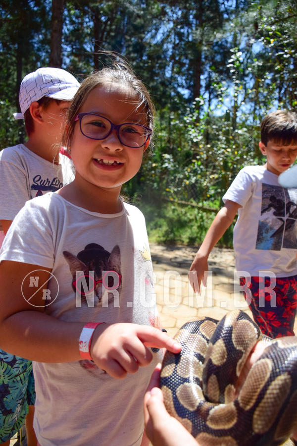 Buy your photos of the eventNR1 - CL�SSICO DE 24  A  26/09/18 on Fotop