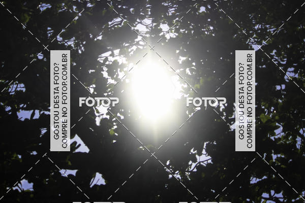 Buy your photos of the eventSantander Track & Field Run Series Celi - Etapa Aracaju on Fotop