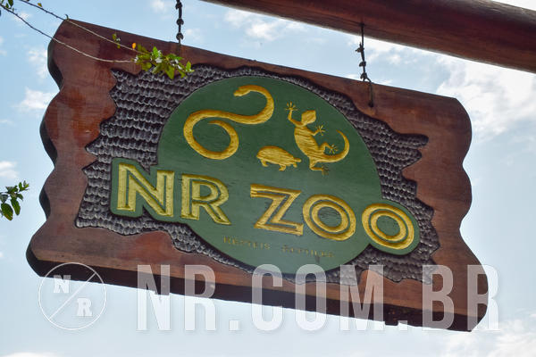 Buy your photos of the eventNR1 - English & Action - Petr�polis 26 a 28/09/18 on Fotop