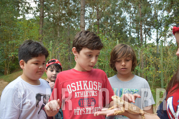 Buy your photos of the eventNR1 - English & Action - Petr�polis 26 a 28/09/18 on Fotop