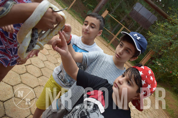 Buy your photos of the eventNR1 - English & Action - Petr�polis 26 a 28/09/18 on Fotop