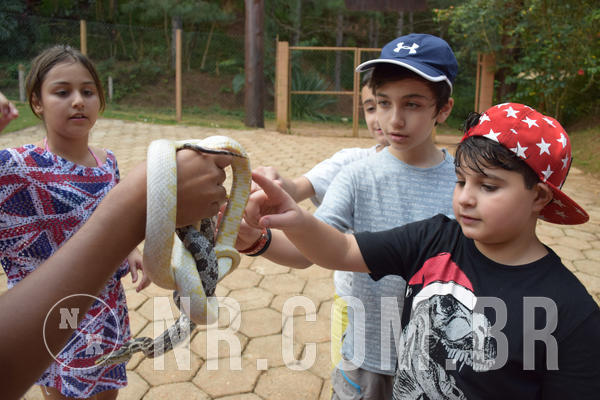 Buy your photos of the eventNR1 - English & Action - Petr�polis 26 a 28/09/18 on Fotop