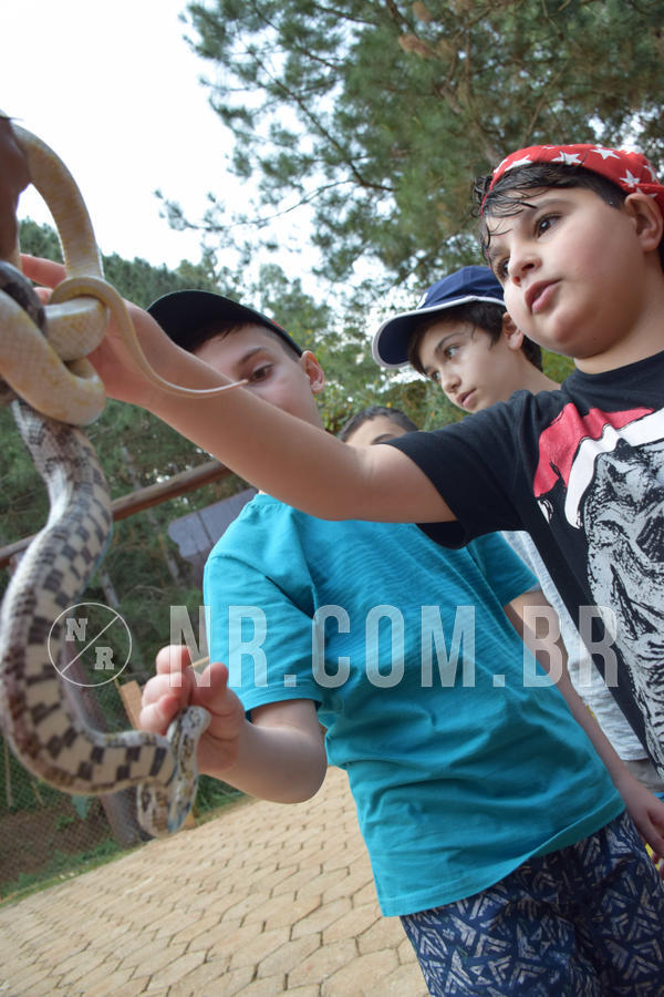 Buy your photos of the eventNR1 - English & Action - Petr�polis 26 a 28/09/18 on Fotop