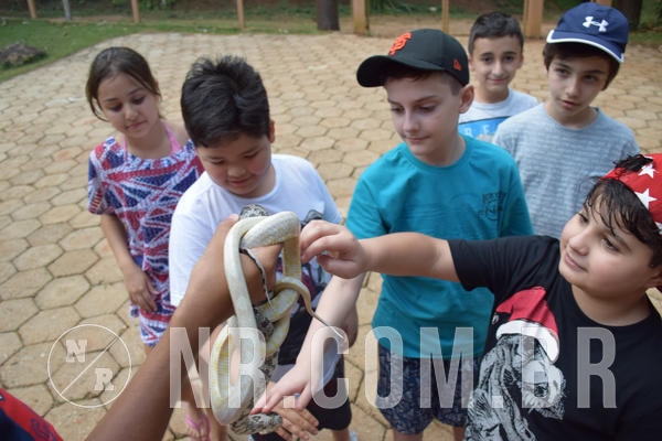 Buy your photos of the eventNR1 - English & Action - Petr�polis 26 a 28/09/18 on Fotop