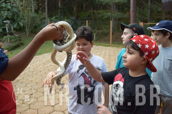 Buy your photos of the eventNR1 - English & Action - Petr�polis 26 a 28/09/18 on Fotop