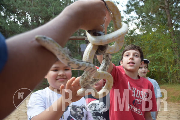 Buy your photos of the eventNR1 - English & Action - Petr�polis 26 a 28/09/18 on Fotop