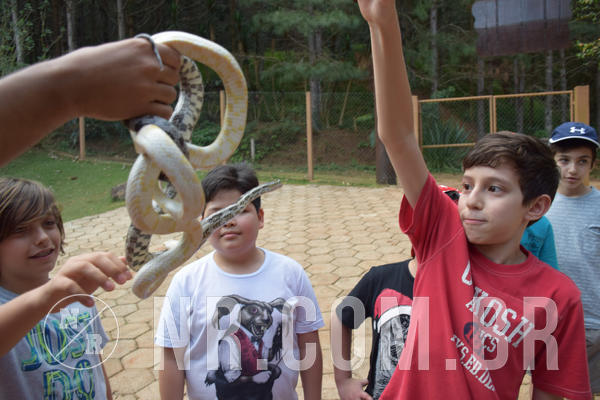 Buy your photos of the eventNR1 - English & Action - Petr�polis 26 a 28/09/18 on Fotop