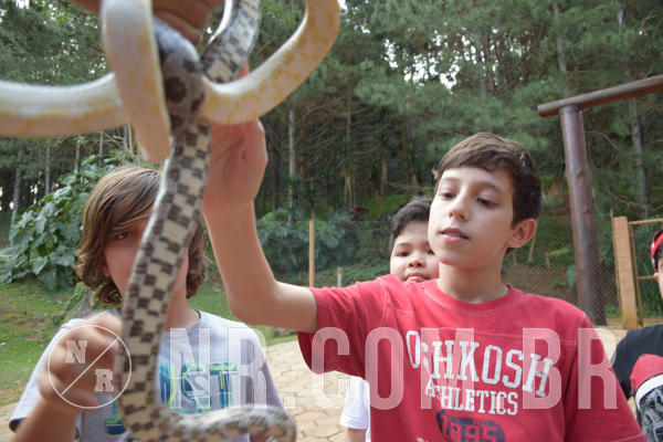 Buy your photos of the eventNR1 - English & Action - Petr�polis 26 a 28/09/18 on Fotop