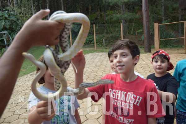 Buy your photos of the eventNR1 - English & Action - Petr�polis 26 a 28/09/18 on Fotop