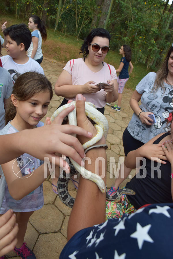 Buy your photos of the eventNR1 - English & Action - Petr�polis 26 a 28/09/18 on Fotop