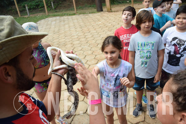 Buy your photos of the eventNR1 - English & Action - Petr�polis 26 a 28/09/18 on Fotop