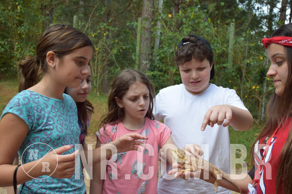 Buy your photos of the eventNR1 - English & Action - Petr�polis 26 a 28/09/18 on Fotop