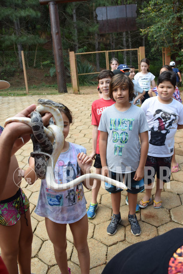 Buy your photos of the eventNR1 - English & Action - Petr�polis 26 a 28/09/18 on Fotop